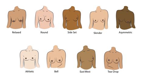 banana shaped boobs|Breast Shapes: A Guide to Different Types of Breasts